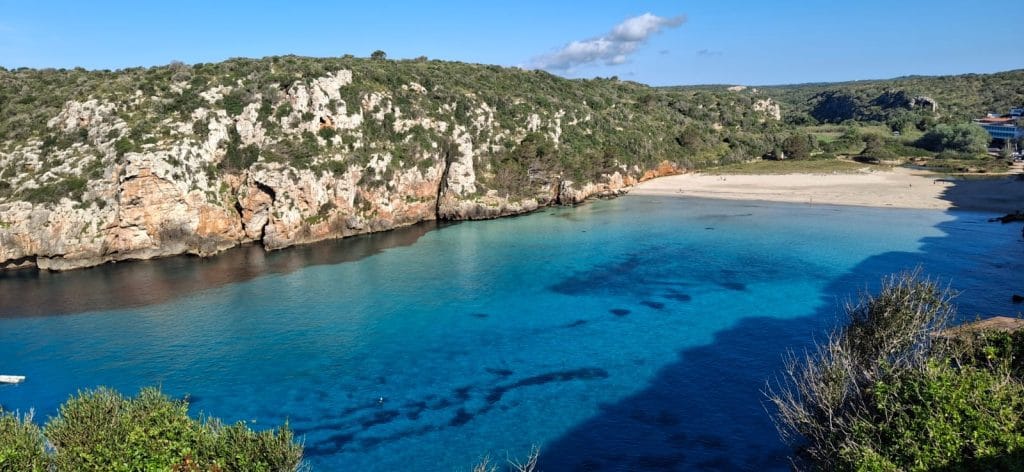 WhatsApp Image 2025-04-25 at 09.56.24